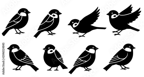 Bild auf Leinwand Sparrow and tit bird silhouette icons set with little songbirds sitting and flyi