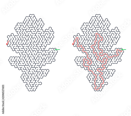 Oak leaf Summer maze puzzle with intricate lines and paths  