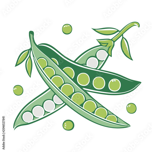 Flat design illustration of fresh pea pods with peas