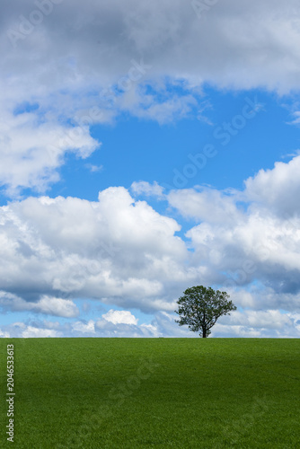 Lone Tree Under Blue Sky with Dramatic Clouds and Copy Space