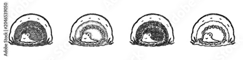 Foto Black and white sketch hedgehog hibernation icon design set