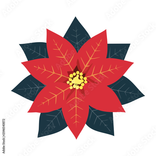 Red Poinsettia Flower Illustration