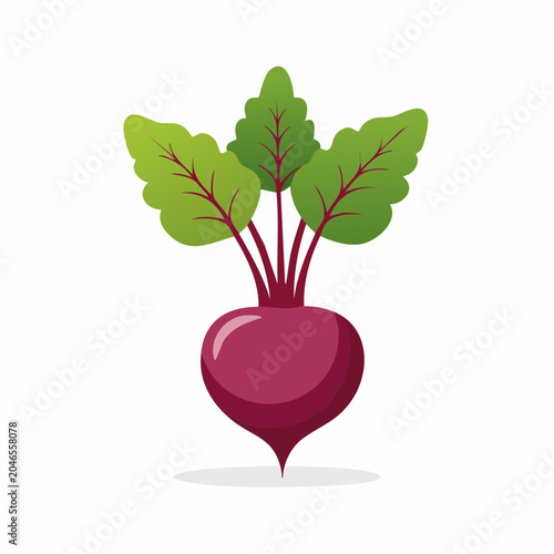 Flat design illustration of a fresh beetroot with green leaves
