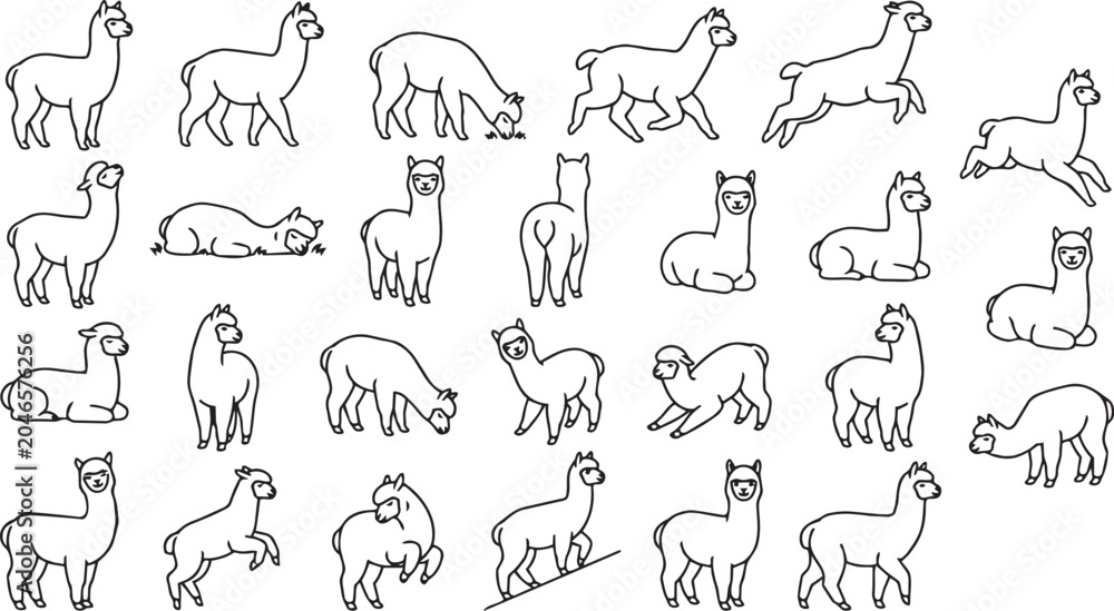 Naklejka premium Alpaca Line Art Pose Set – Fluffy Mountain Animal Outline Vector