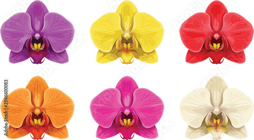 Photos Colorful Orchid Flower Head Blossom Vector Icon Set with Tropical Phalaenopsis F