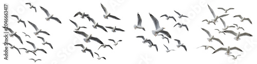3D Realistic Flying Seagulls Flocks Set Isolated on White Background: Sea Birds in Flight, Migrating Marine Wildlife, and Coastal Waterfowl Groups for Ocean Landscape, Nautical Themes, and Nature Desi