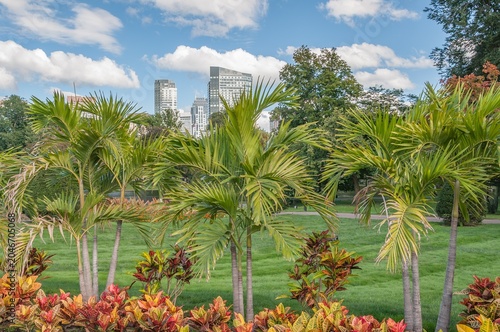 Tropical Boston on an Autumn Afternoon, Massachusetts