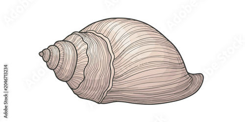 Spiral Conch Shell Marine Seashell Vector Illustration