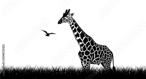 Foto giraffe in the grass