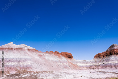 The rugged and spectacular lamdscape of the Petrified Foraest National Park East of Holbrook AZ