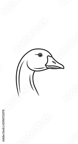 Simple line drawing of a white swan with black beak.