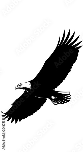 Black crow in flight against white background.