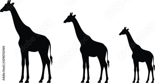 Photography Black silhouette illustration of a family of three giraffes ranging in size from