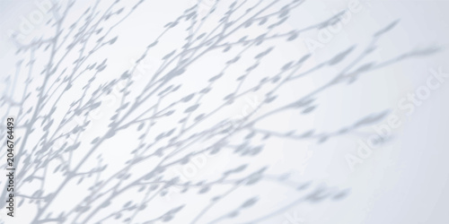 Foto Delicate tree branch shadow pattern cast on white wall with silhouette minimalis