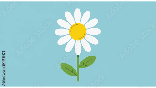 Foto White Daisy Flower with Green Leaves 1.