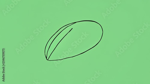 Hand Drawn Minimalist Line Sketches on Solid Green Background