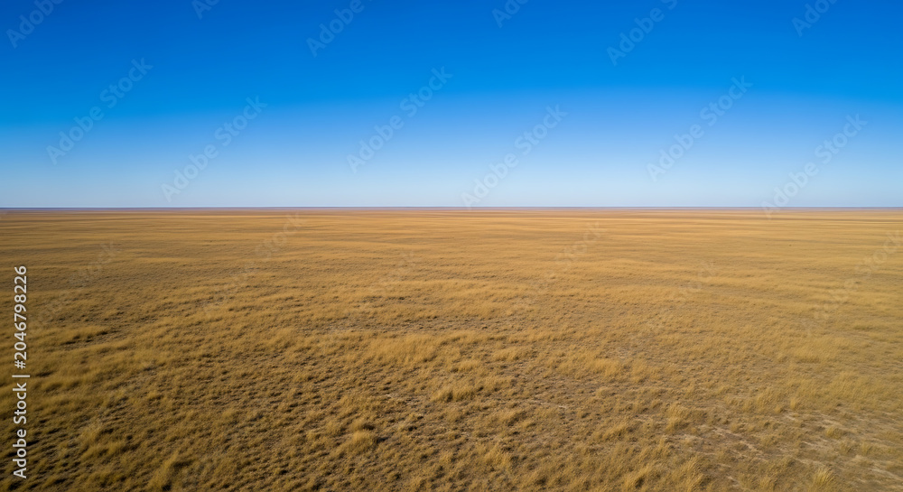 Fototapeta premium Vast Open Dry Landscape Under a Clear Blue Sky.