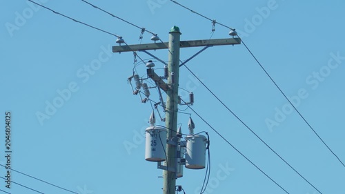 Utility pole with electrical distribution transformers and wires