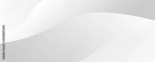 Abstract minimalist white and gray curve modern background. texture white pattern. vector illustration