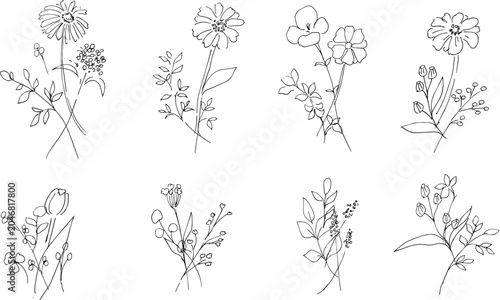線画。植物の線画イラスト。モノクロの植物イラストセット。線画で描いた花々。Line drawings. Line art illustrations of plants. A set of monochrome plant illustrations. Flowers drawn in line art.