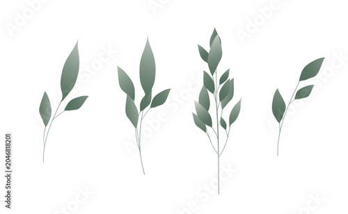 Minimalist tropical leaf stem graphic element isolated on white background