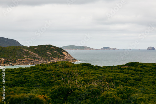 Photography Coastal landscape with green forest and rocky headland wilderness exploration