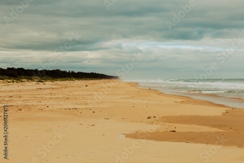 Empty sandy beach with rolling ocean waves coastal wilderness exploration