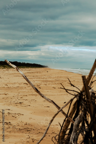 Driftwood structure on sandy beach under cloudy sky coastal wilderness exploration