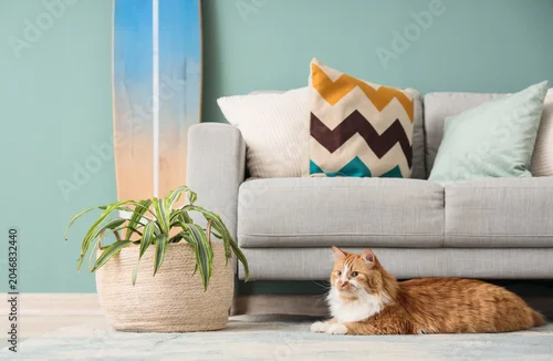 Obraz Cute fluffy cat lying on carpet in living room