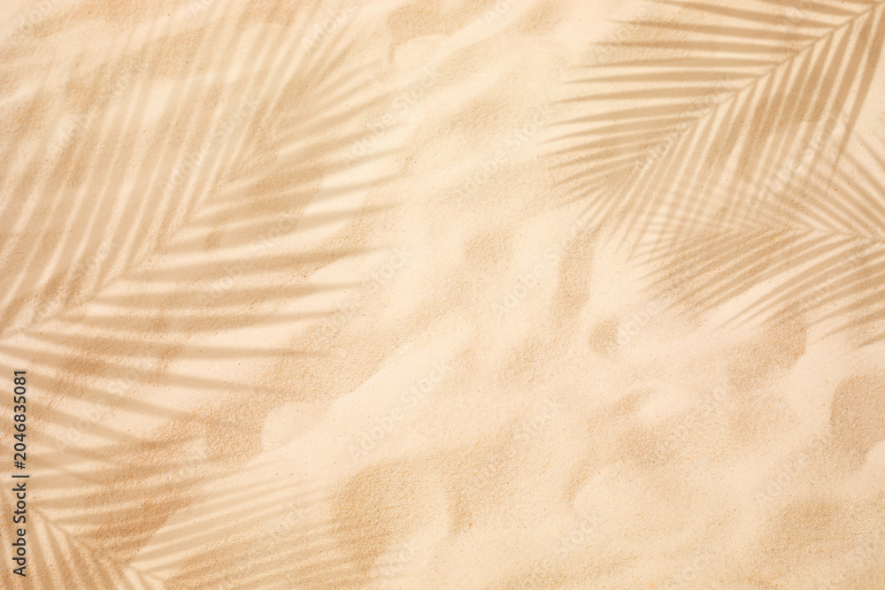 Obraz premium Selective focus of summer and holiday backgrounds concepts with closeup clean sand beach and shadow coconut leaf