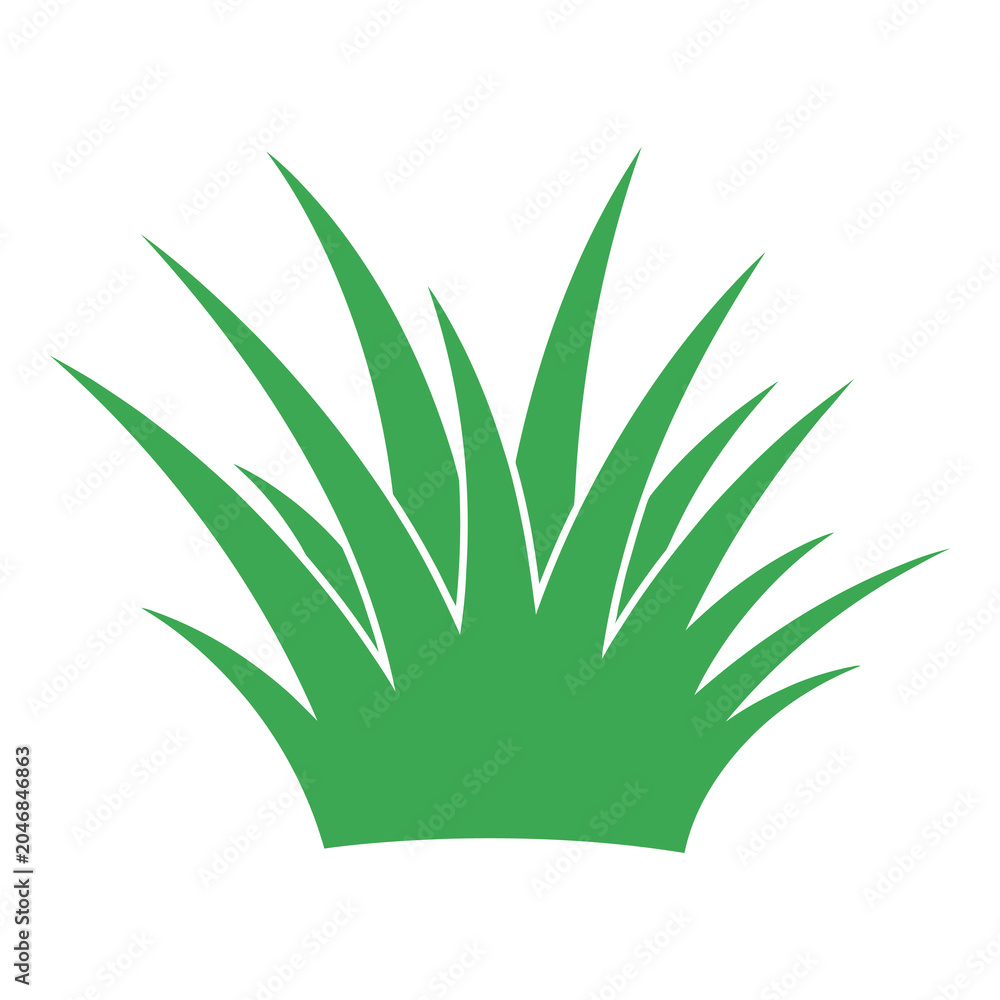 Fototapeta premium Green grass blades illustration on white background for design elements icon