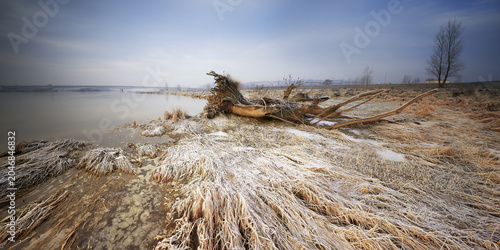 View of a frost-covered riverbank with a fallen tree trunk and dry grass under a blue sky in Wisla, Silesian Voivodeship, Poland.