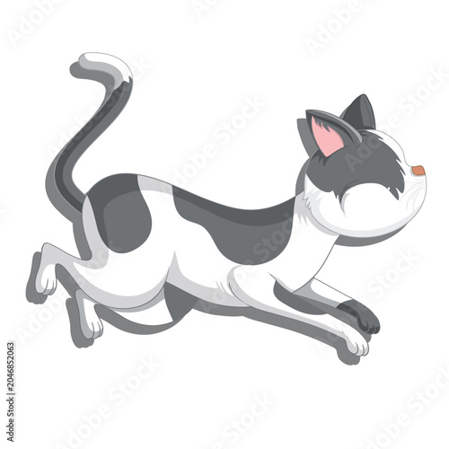 vector