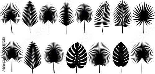 Fotografie Black tropical leaf silhouette vector set with isolated palm fronds and monstera