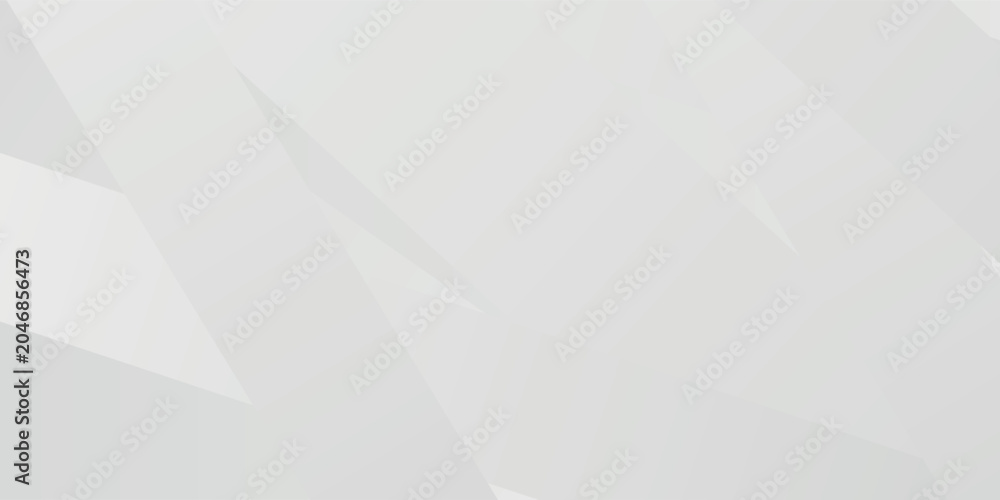 Obraz premium Abstract white and gray background. smooth abstract background, blurred pattern. Light pale vector background. Abstract pale geometric pattern eps 10