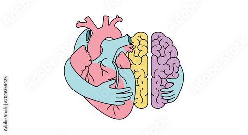 Pink and blue anatomical heart embracing itself on transparent background