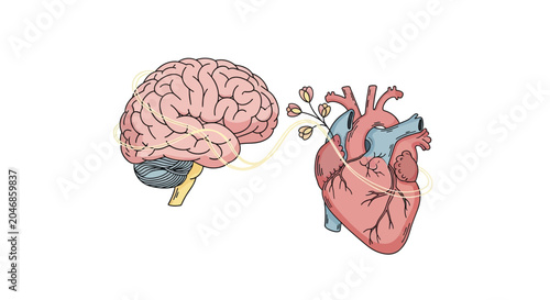 Pink brain with blue cerebellum and yellow nerve connections