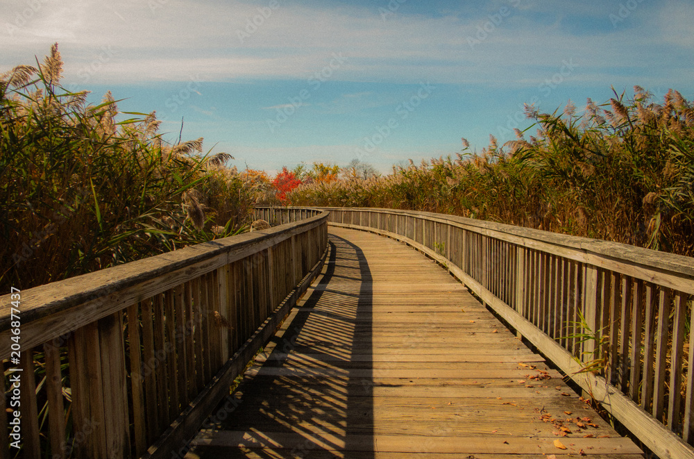 Fototapeta premium boardwalk by the bay