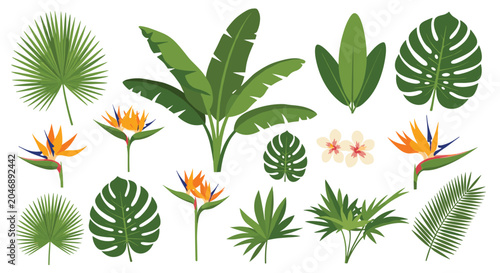 Selection of various tropical leaves including monstera palm and banana tree along with vibrant orange bird of paradise and plumeria flowers.