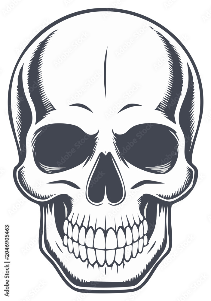 Obraz premium Stylized human skull illustration with detailed bone structure and dark eye sockets.