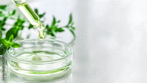 Herbal Extract Dropper Over Glass Petri Dish