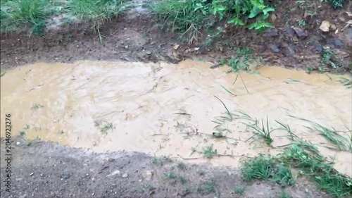 Muddy Water Flowing Across Rural Dirt Path After Rain