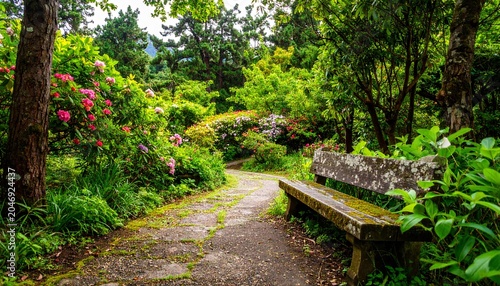 Bench on a path in the garden.
