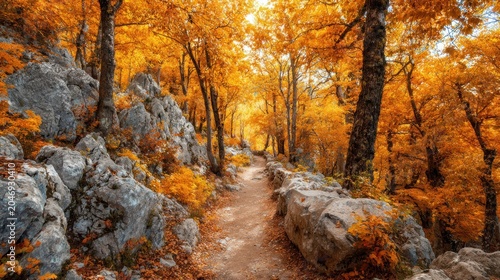 Narrow earthen path winds through a dense forest blazing with intense autumn foliage