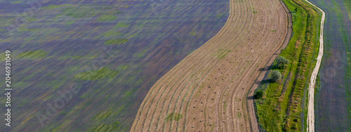 Принти на полотні A quadcopter view of a field, partly covered with flowers and partly with bales of mown hay
