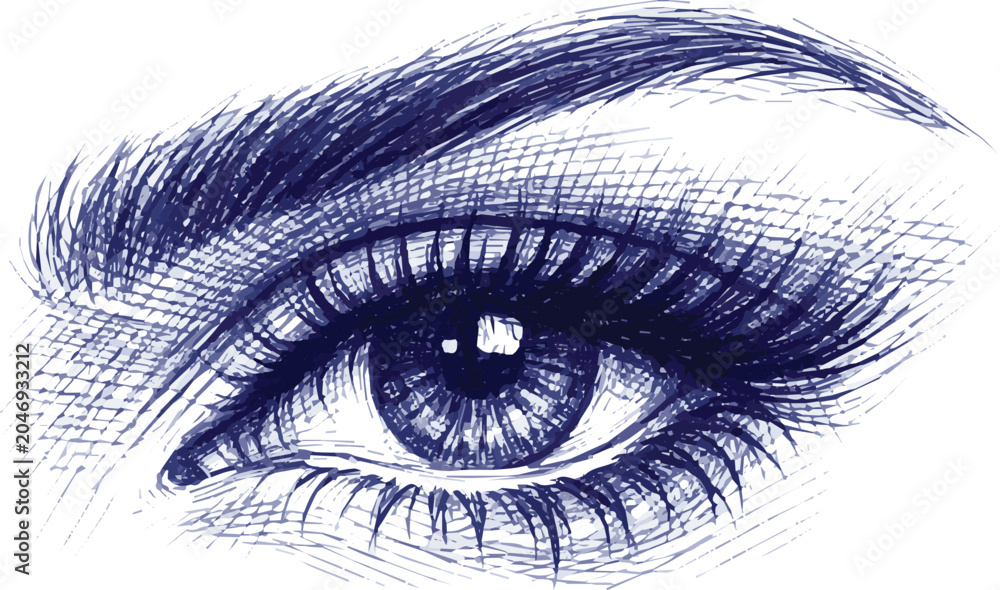 Fototapeta premium Isolated on Ballpoint pen sketch of beautiful female eye vector art on white background