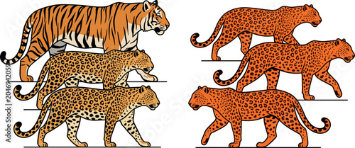 Canvas Print Wild Big Cats Vector Set Featuring Walking Tiger, Leopards, and Jaguars with Spo