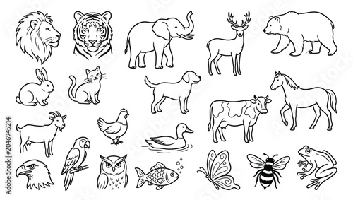 Collection of various wild and domestic animal line drawings with wildlife collection illustration creature education