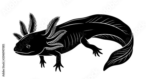 Cuadro en lienzo Detailed axolotl silhouette vector amphibian wildlife icon collection design
