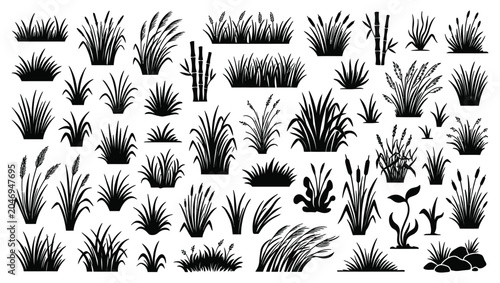 Set of various grass and reed silhouettes with silhouette botanical landscape collection environment isolated ornamental vegetation